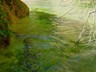 070904-rio véro bas 012