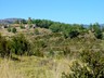 070905-rodellar  otin mascun 011
